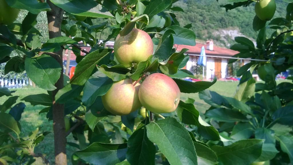 Agriturismo Trefrutti Arco Buitenkant foto